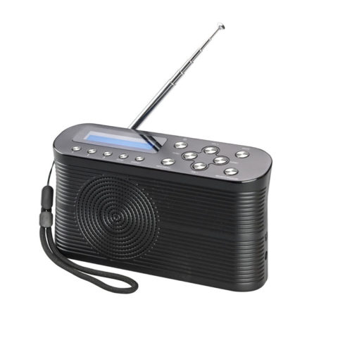 16923 Portable DAB Radio